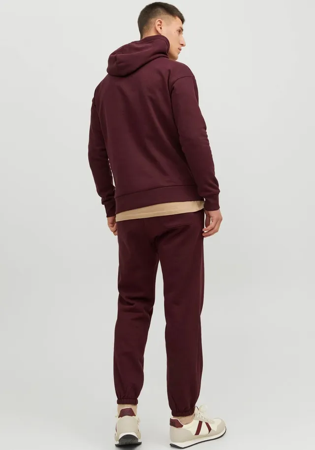 Jack & Jones Kapuzensweatshirt »JJEJOSH SWEAT HOOD NOOS«